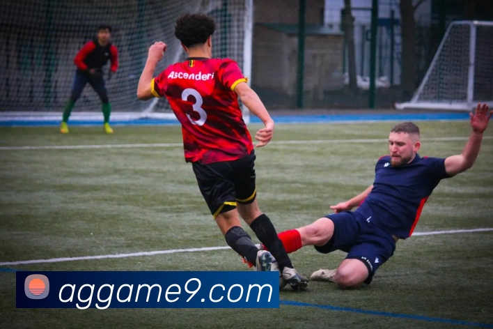 多媒体互动体验